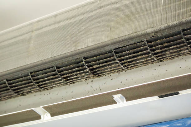 Best Air Vent Cleaning Services  in Indianola, MS